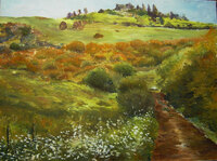 Chemin &agrave; Espinasse (60x80)